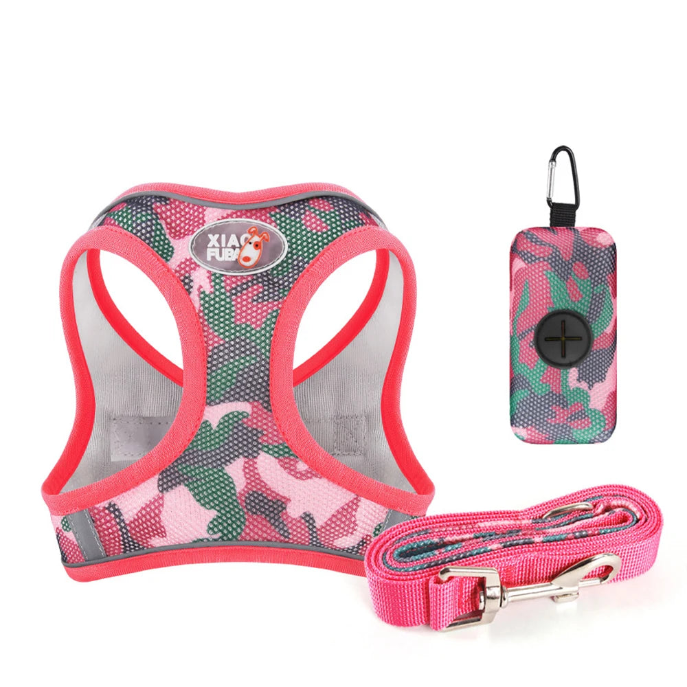 47985461592353|47985461625121|47985461657889|47985461690657