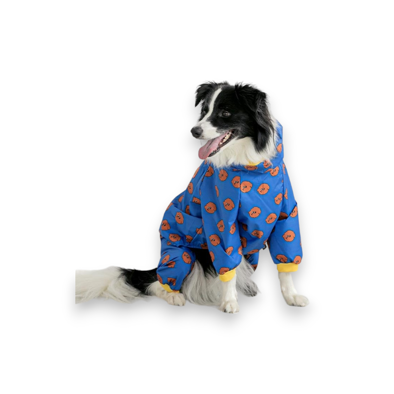 Raincoat