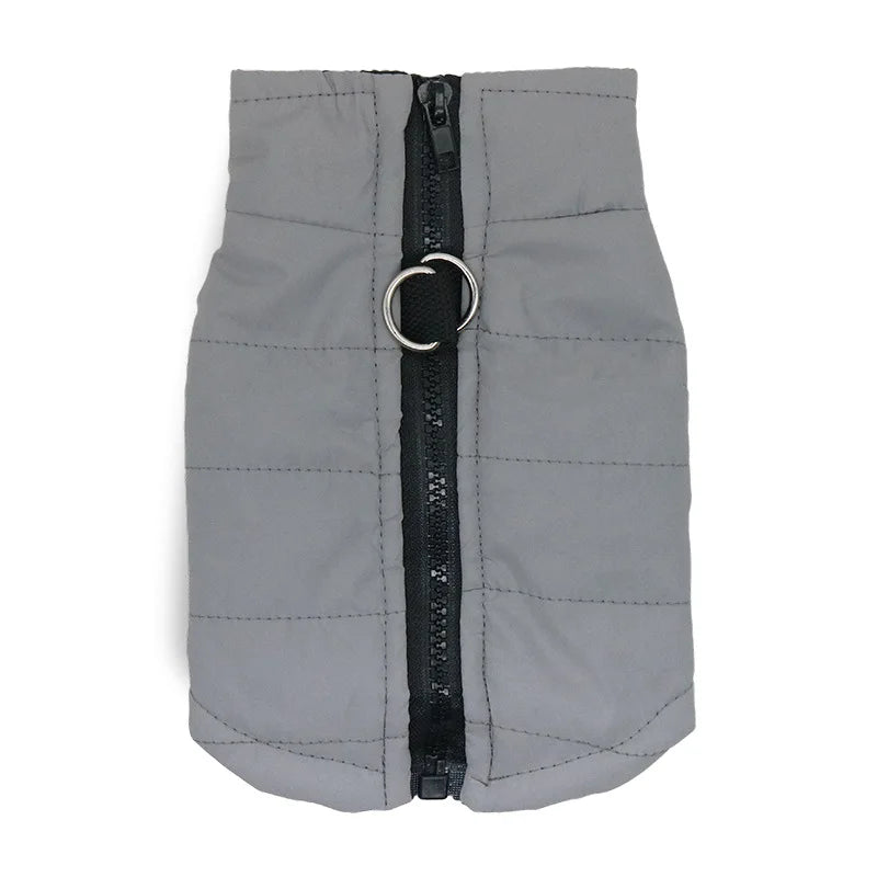 47825406001441|47825406066977|47825406132513|47825406198049|47825406263585