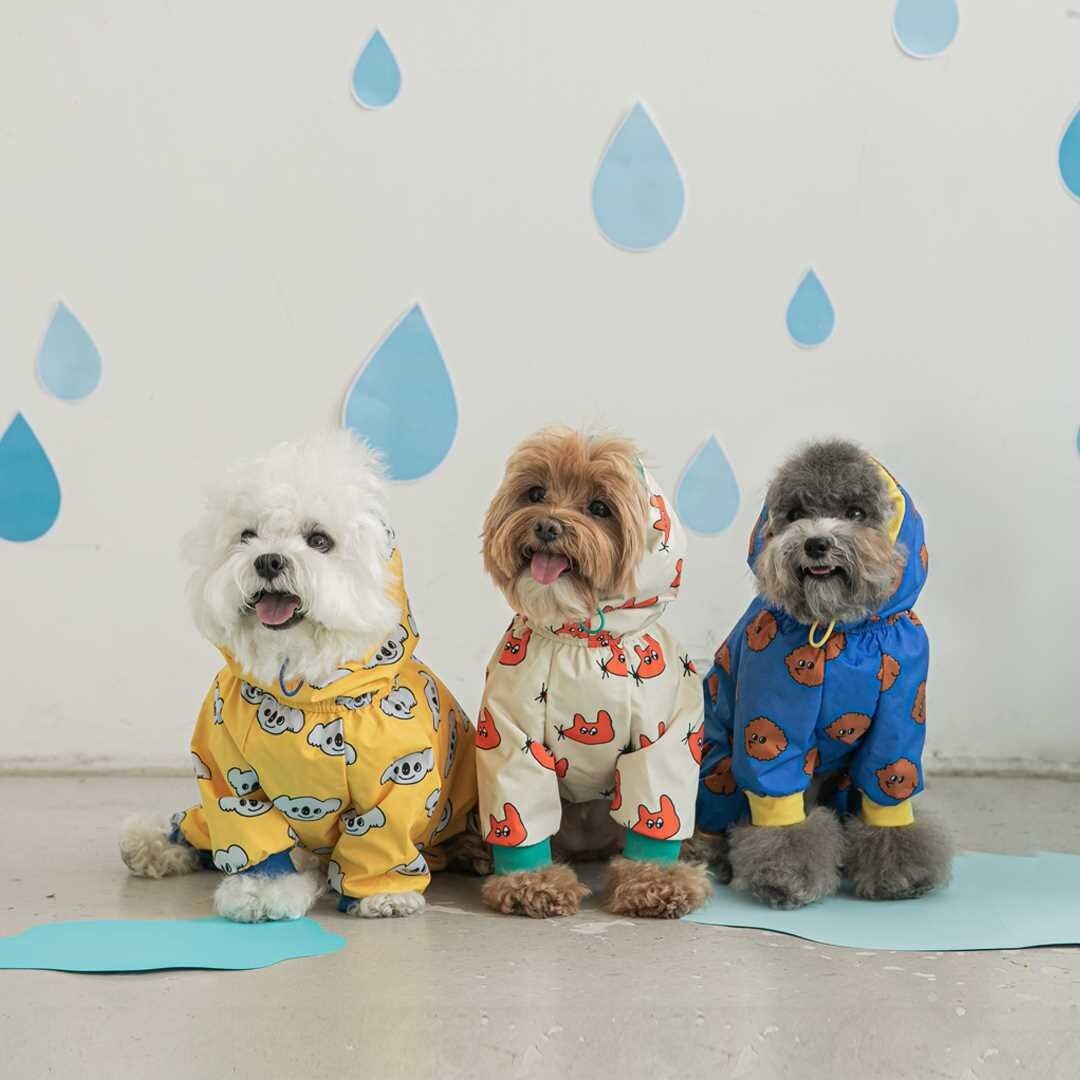 Raincoat