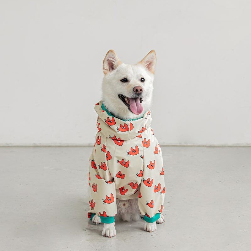 Raincoat