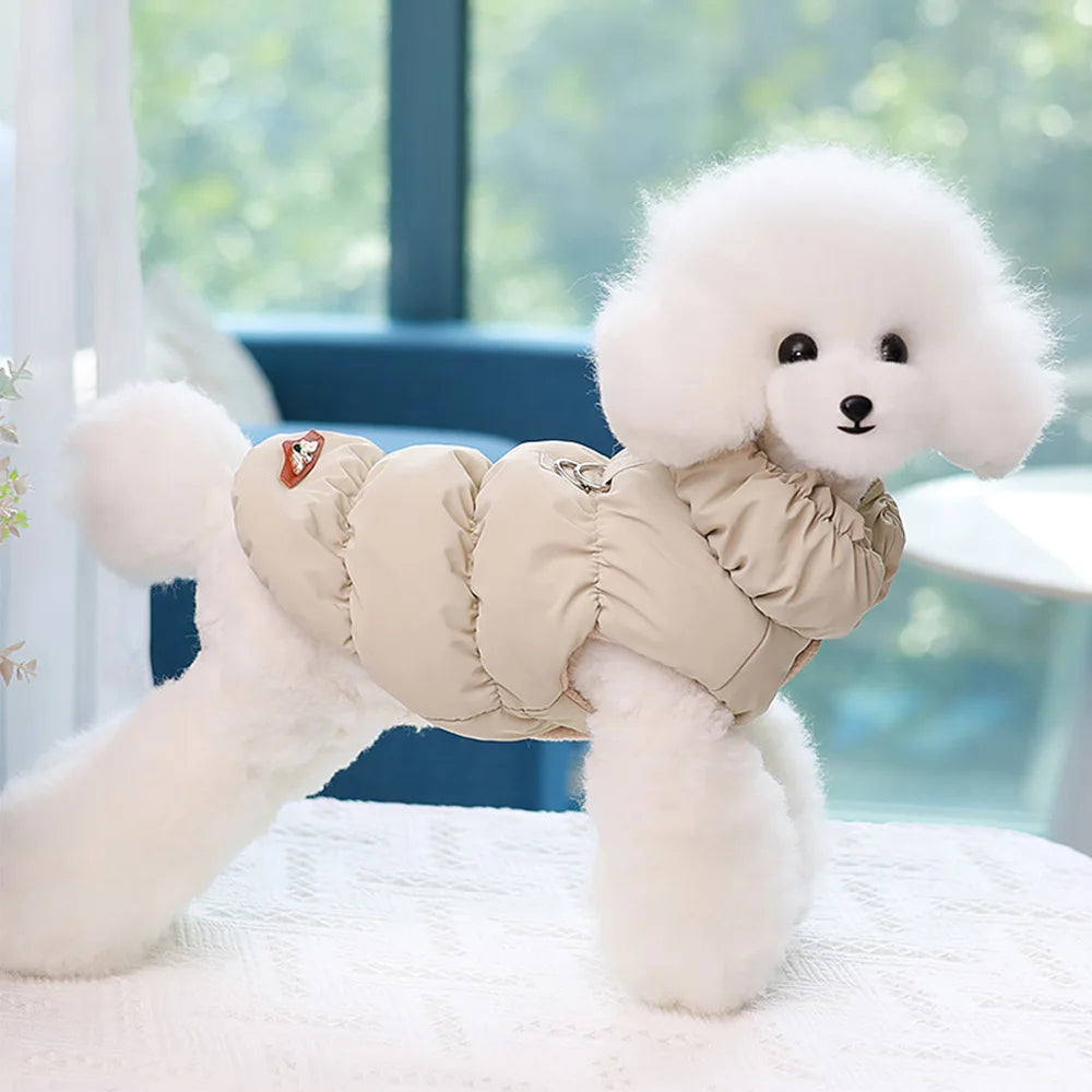 Poodle