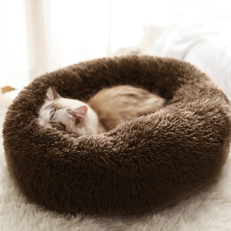Rounded bed