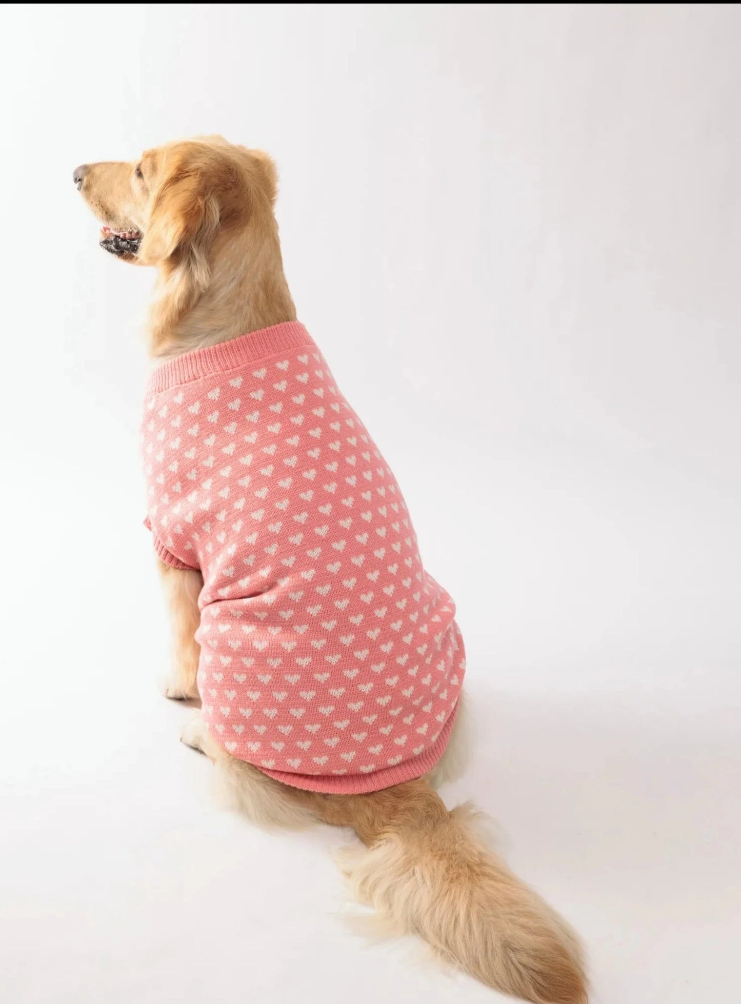 Pink sweater