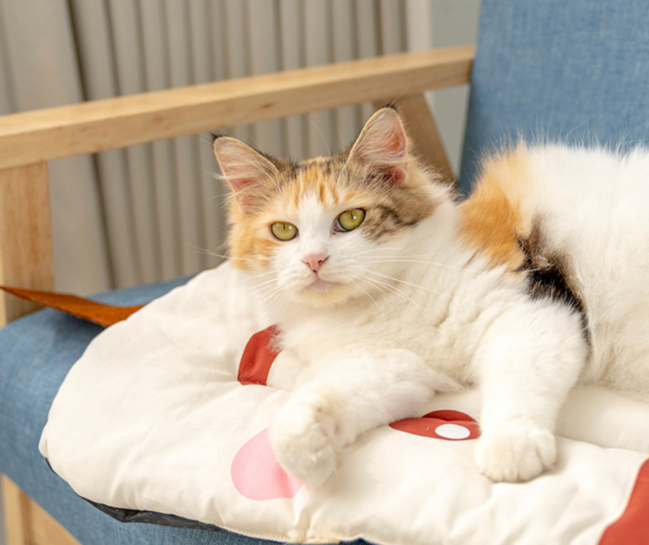 Fruity bed