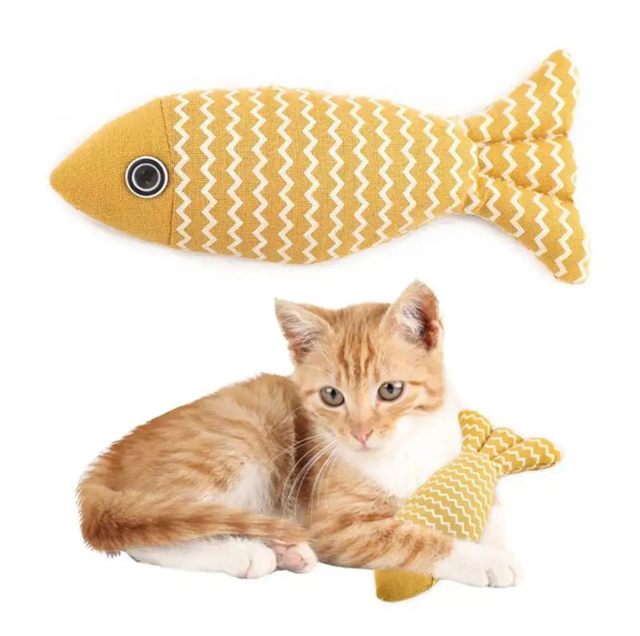 Fish toy