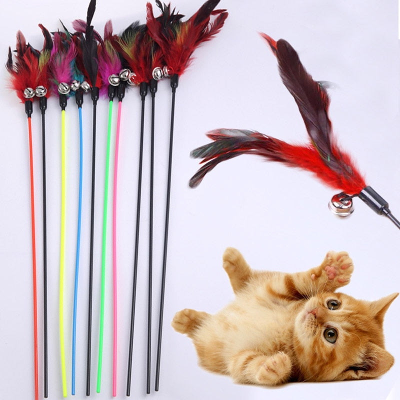 Cat toy