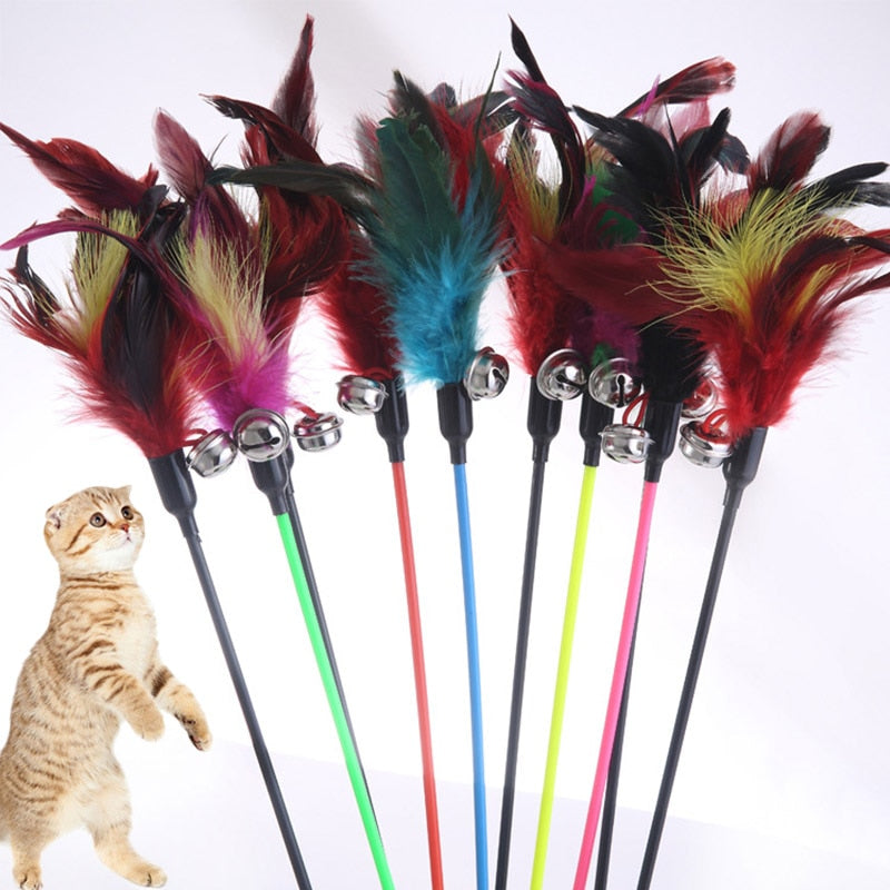 Cat toy