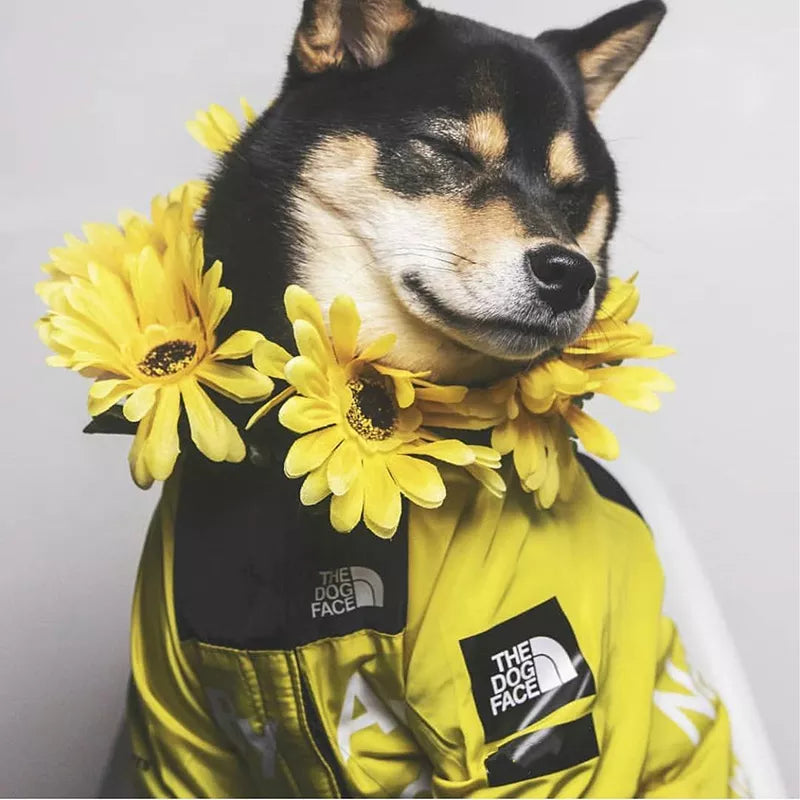 windbreak coat