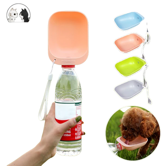 Bowl bottle