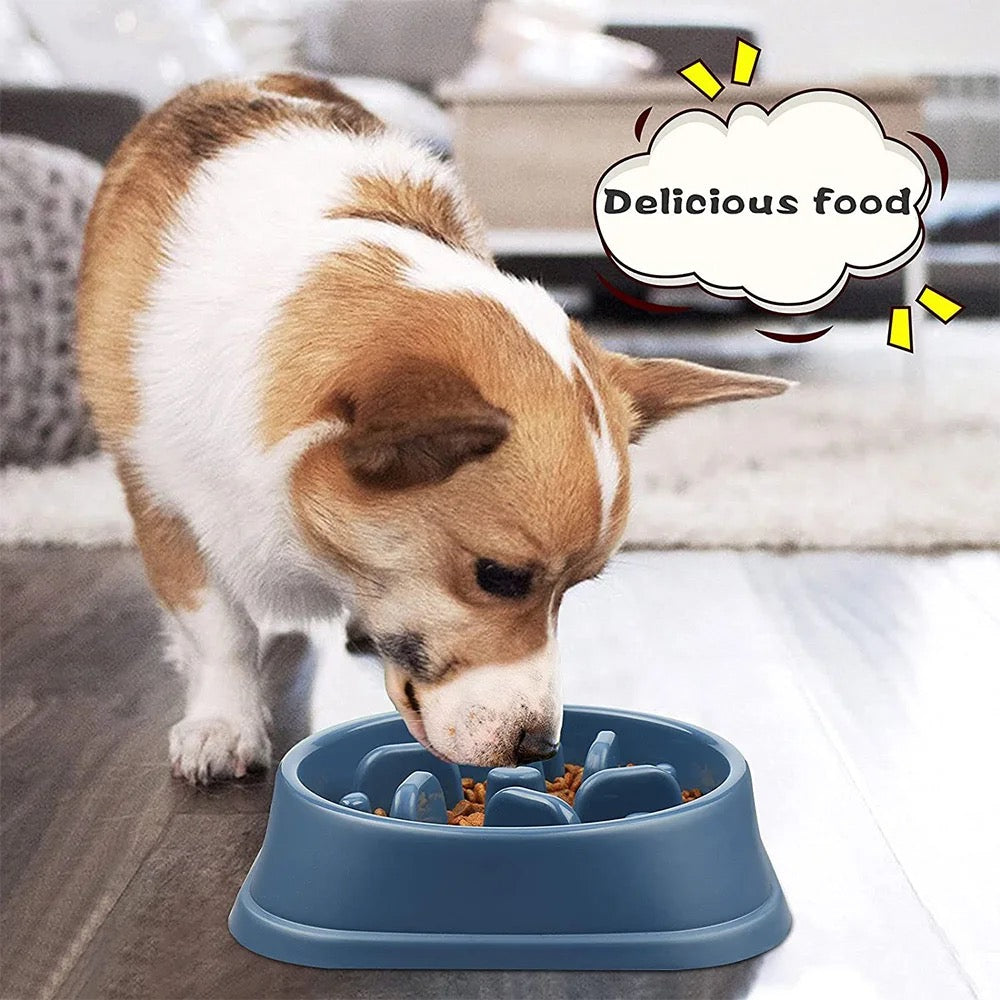 Feeder