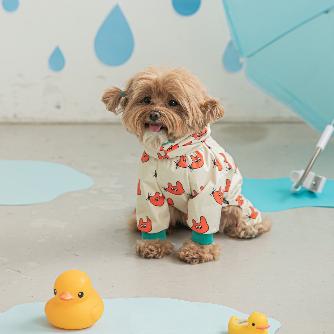 Raincoat