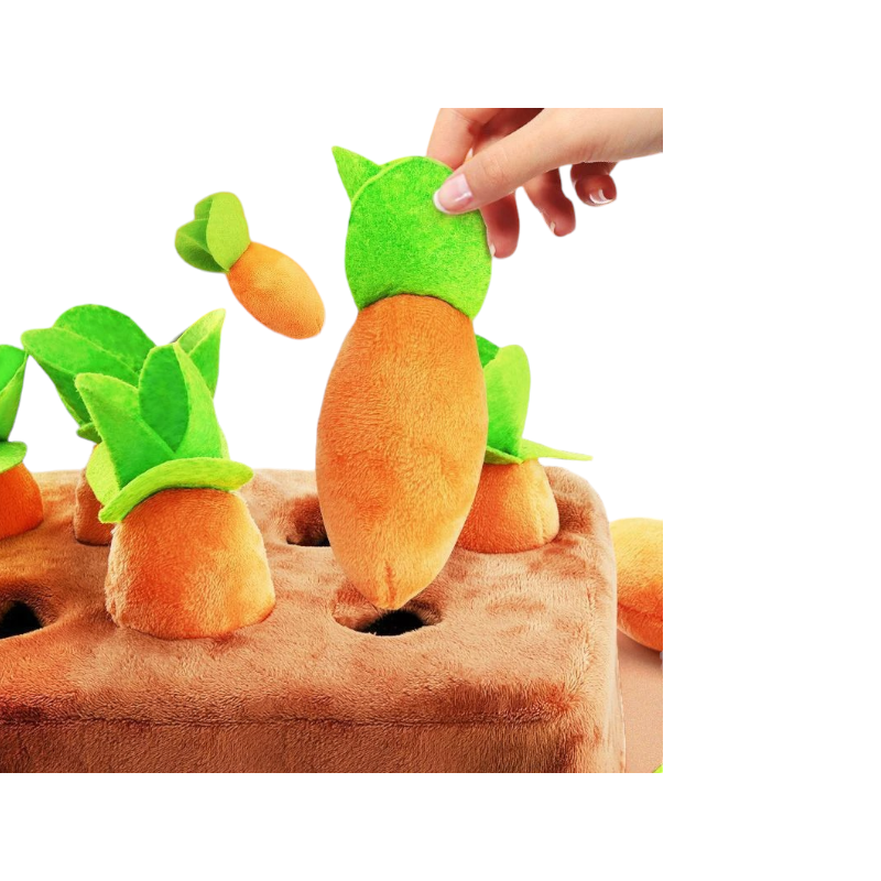 Carrot play