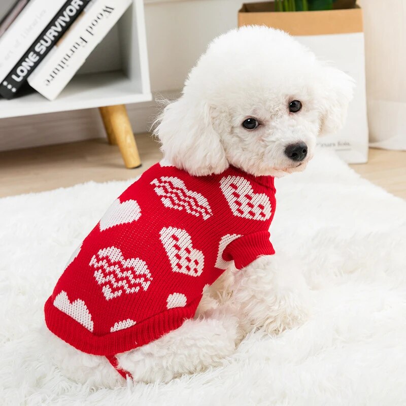 Paws and Claus Sweater
