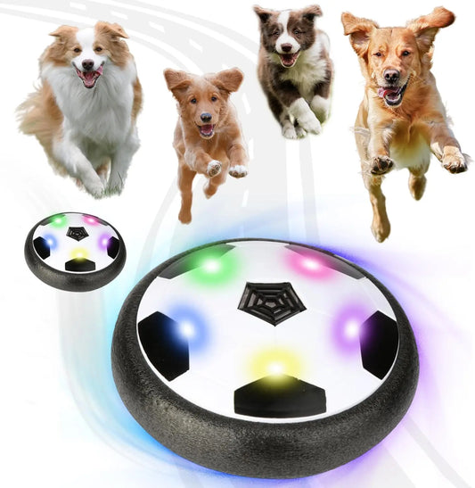 Interactive  Ball