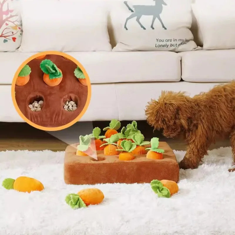 Carrot play