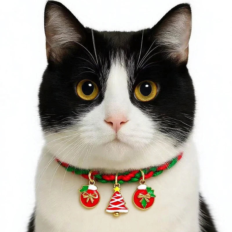 Santa Collar