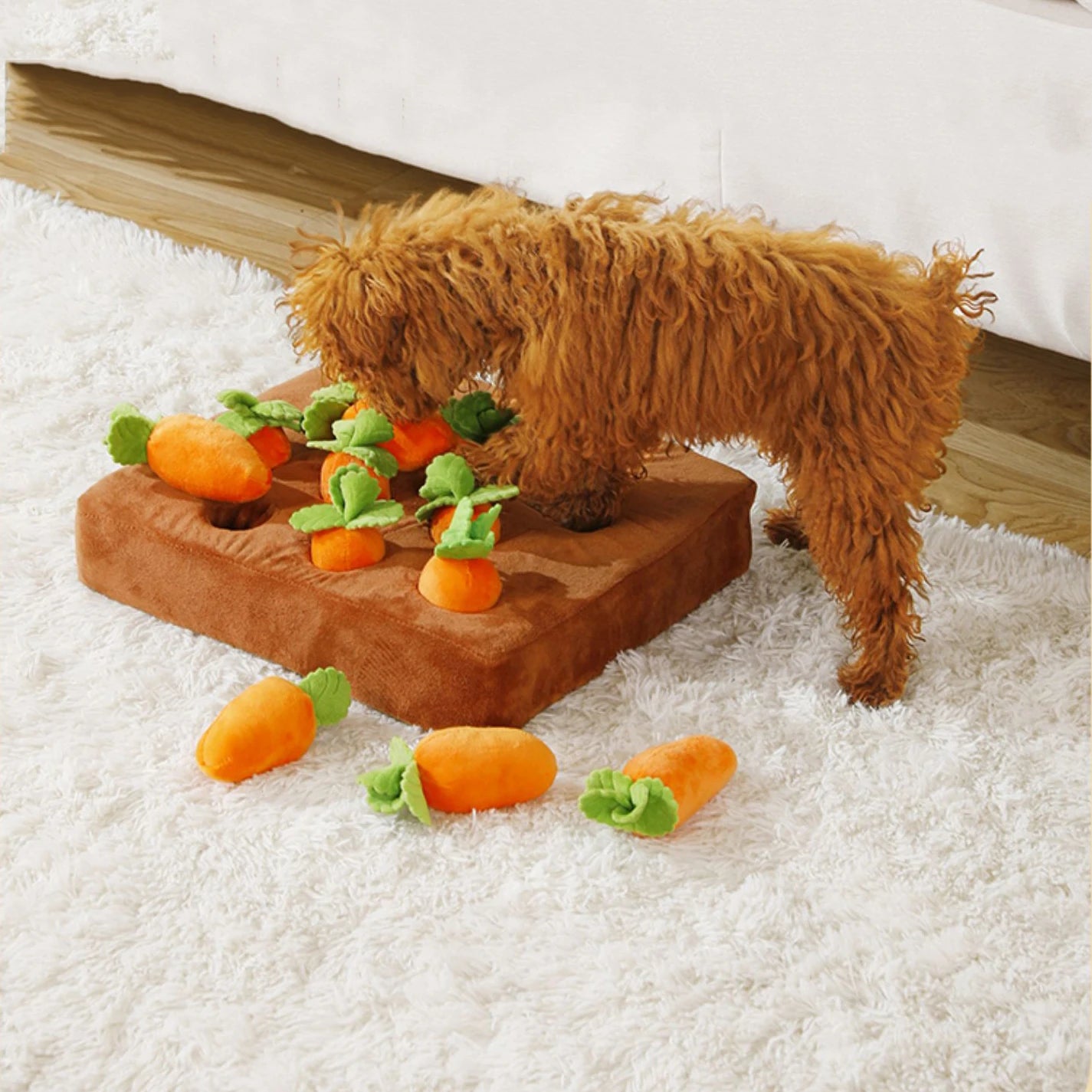 Carrot play