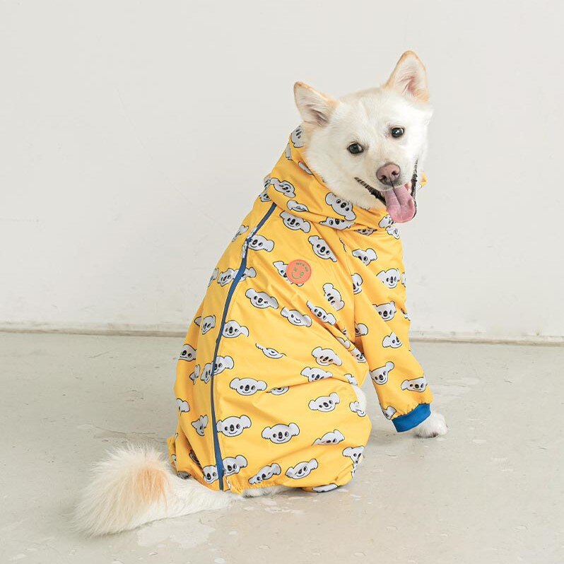 Raincoat