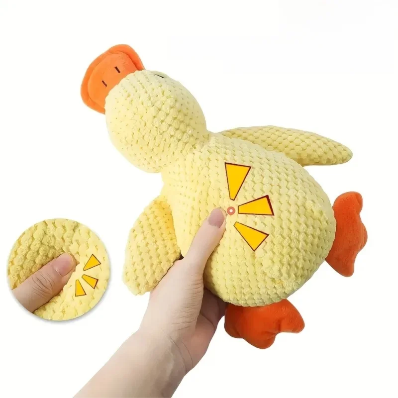 Sleeping Duck