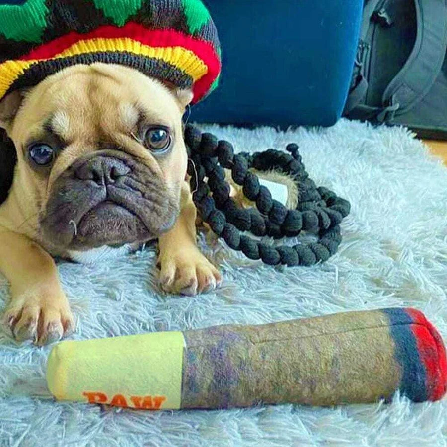 Cigar toy