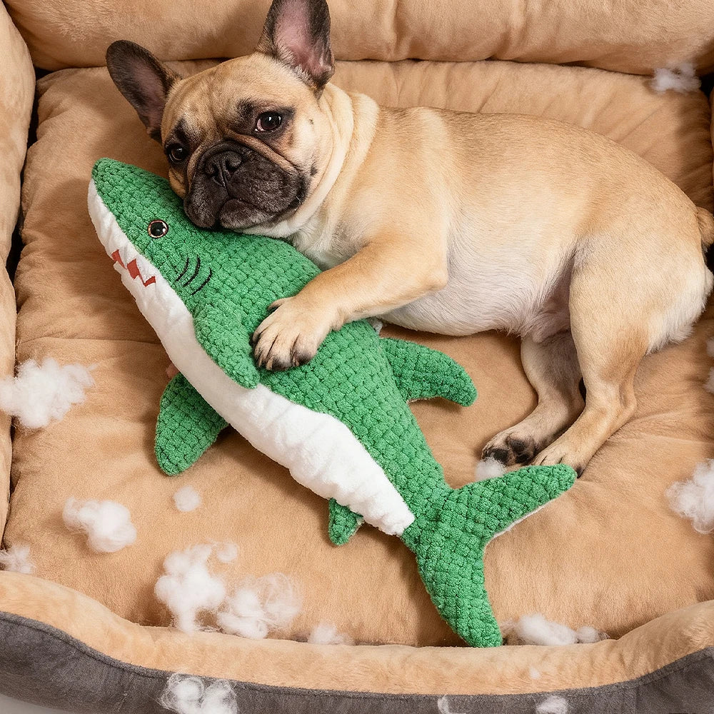 Green Shark