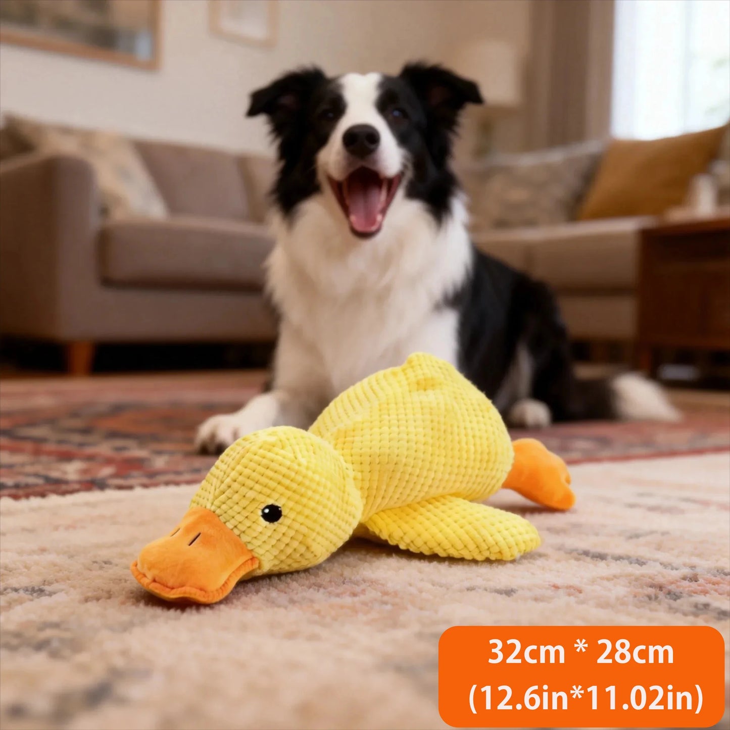 Sleeping Duck