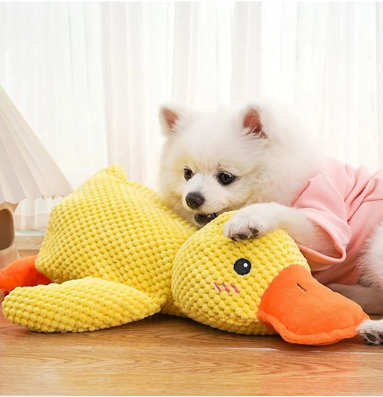 Sleeping Duck