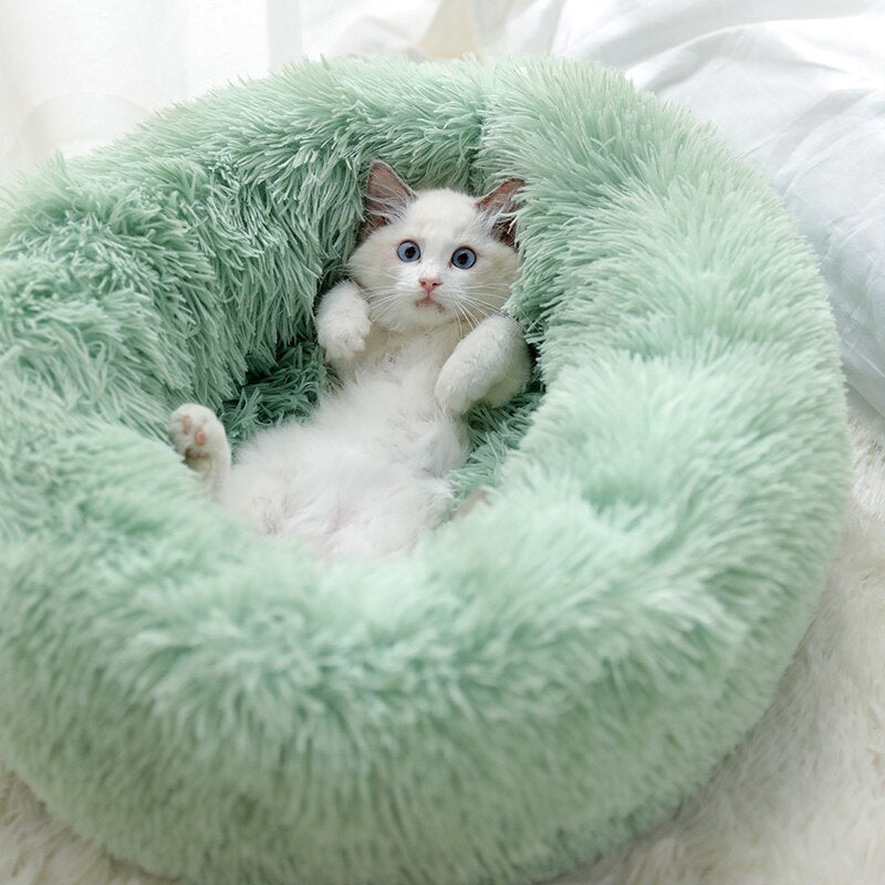 Rounded bed
