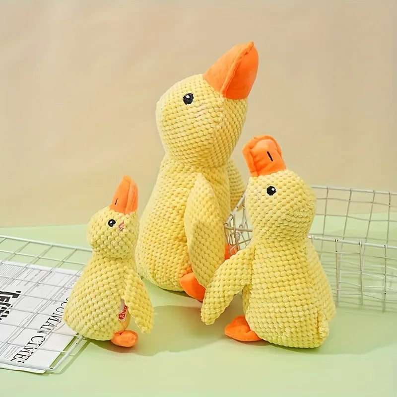 Sleeping Duck