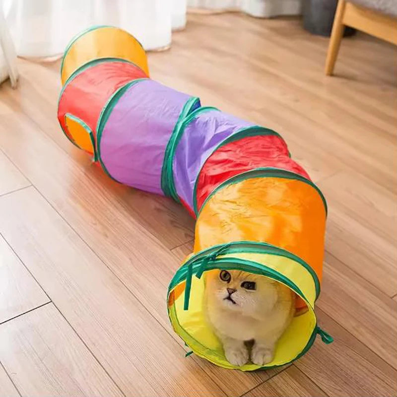 Cat Tunnel