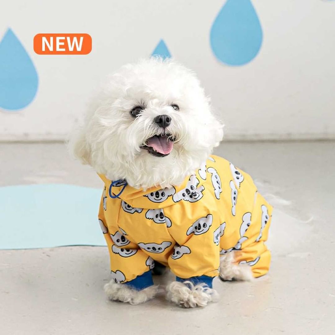 Raincoat