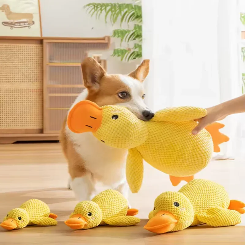 Sleeping Duck