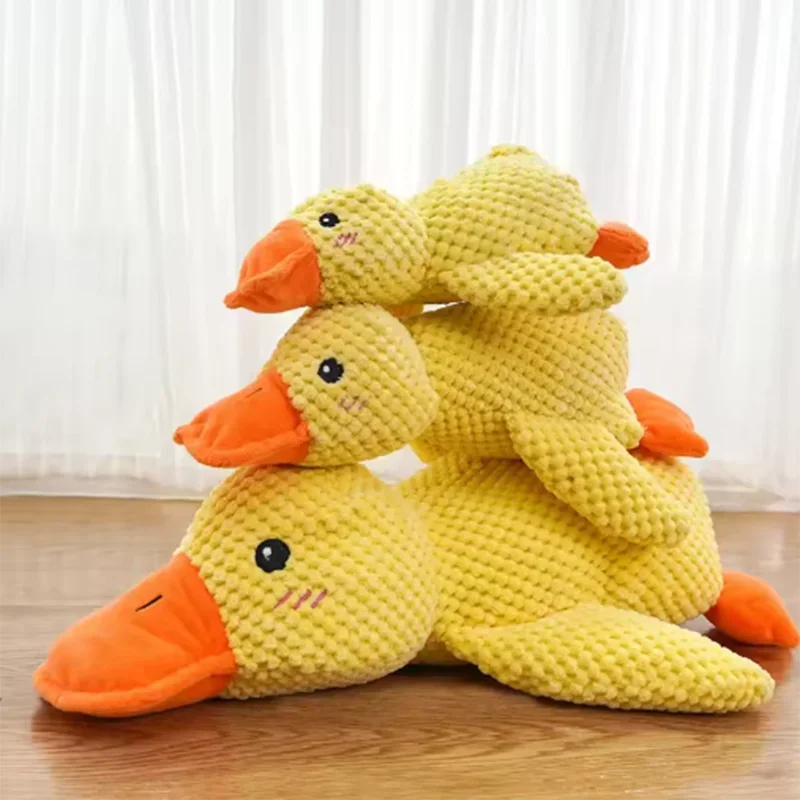Sleeping Duck