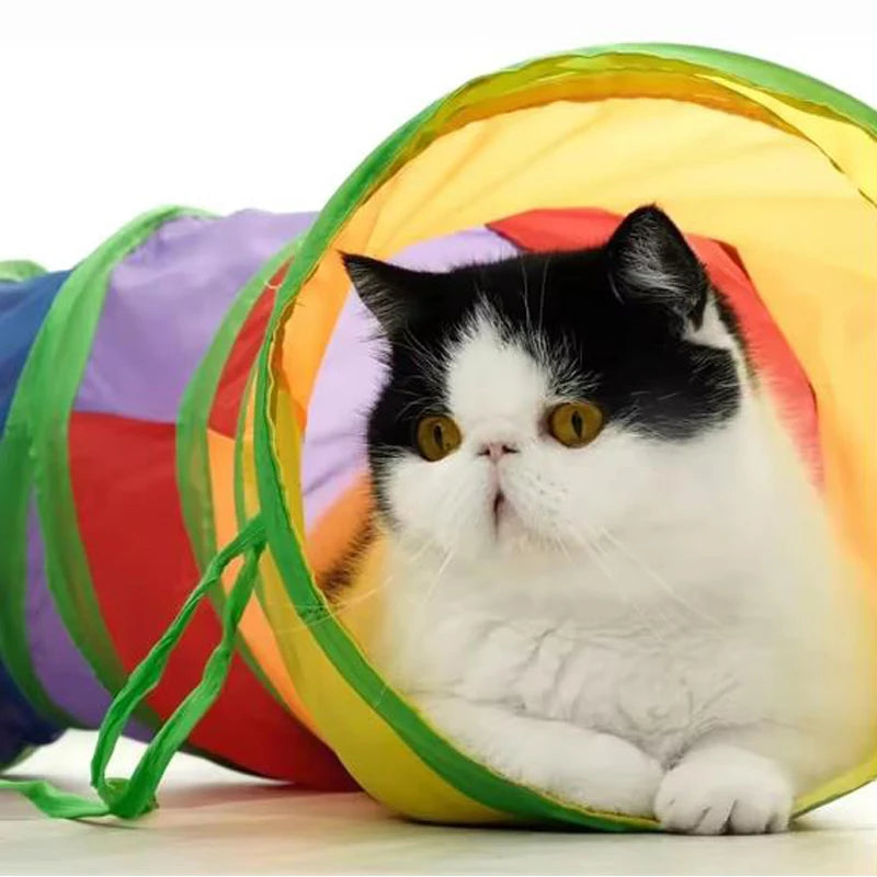 Cat Tunnel