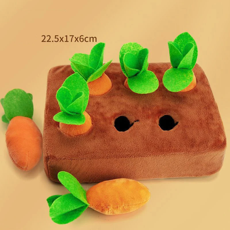 Carrot play