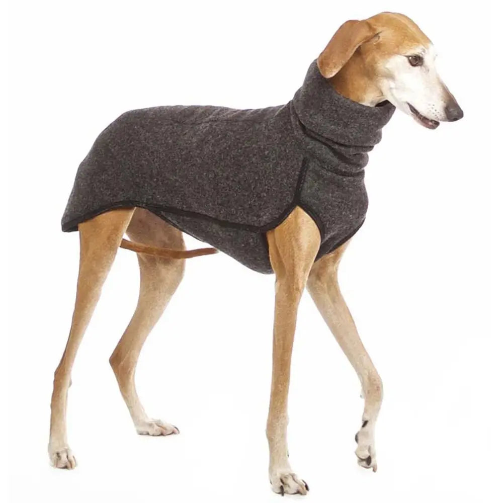 Jumper