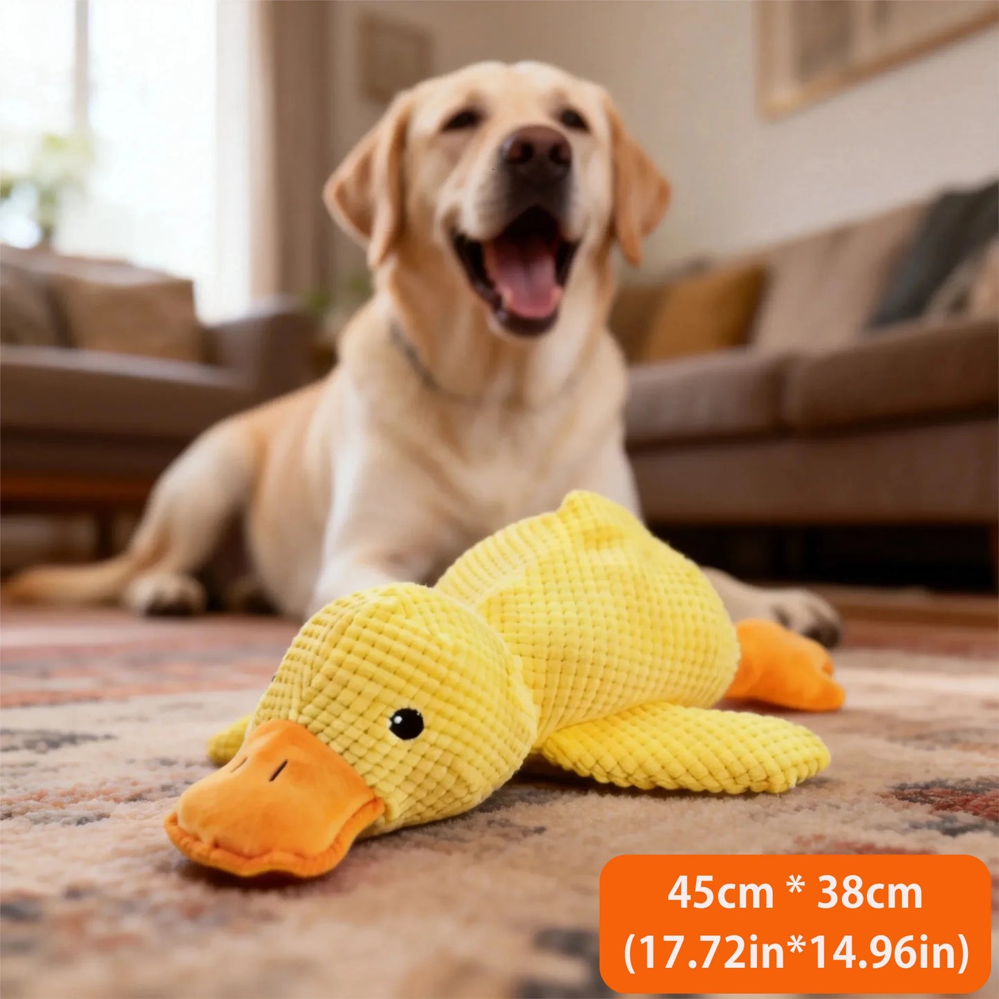 Sleeping Duck