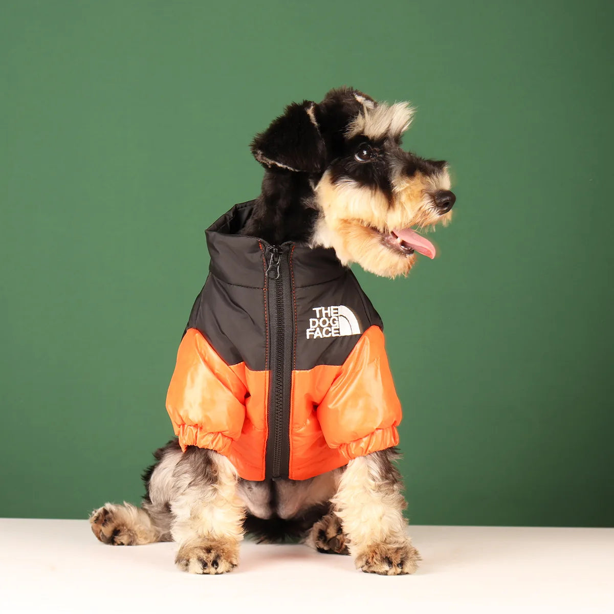 Bully Coat