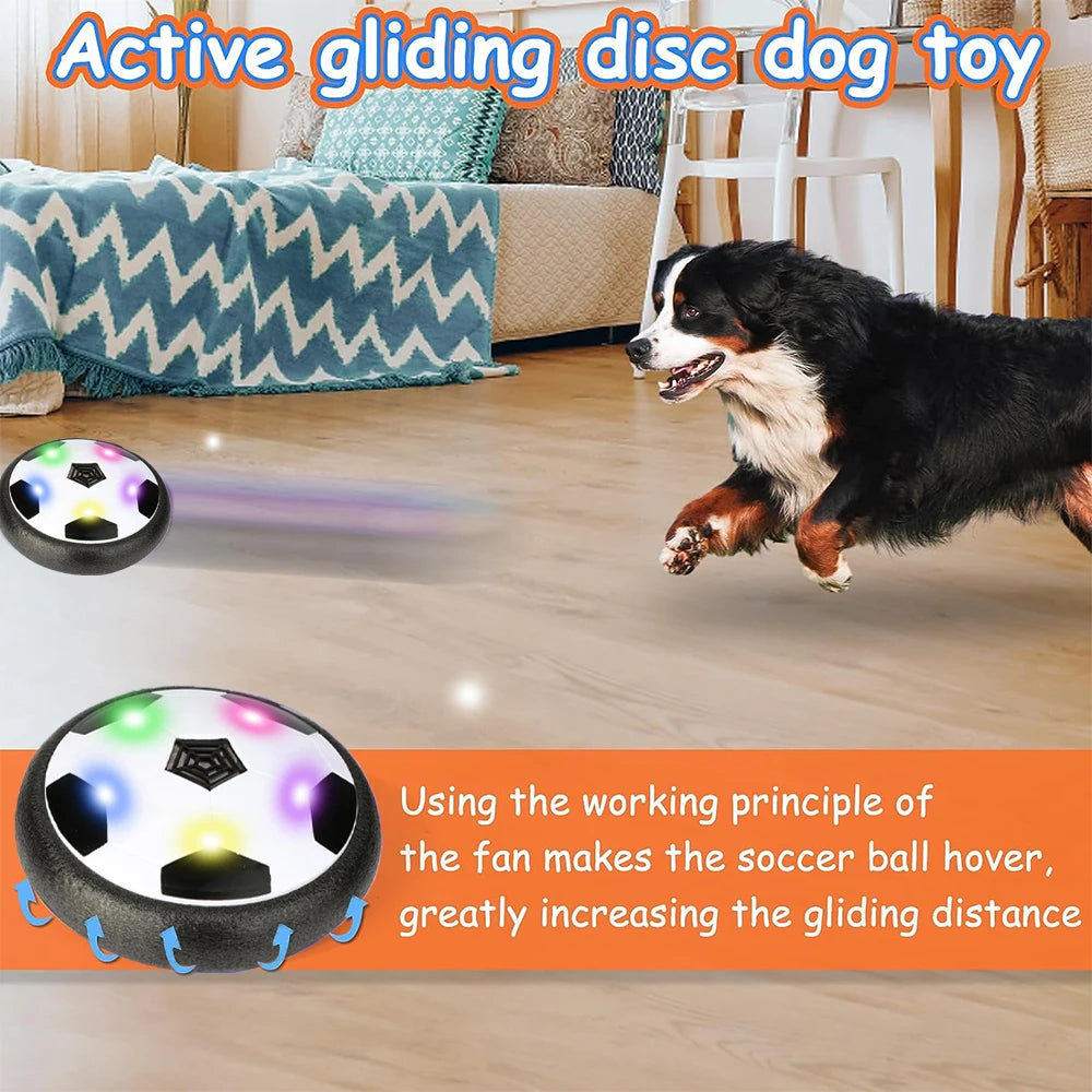 Interactive  Ball