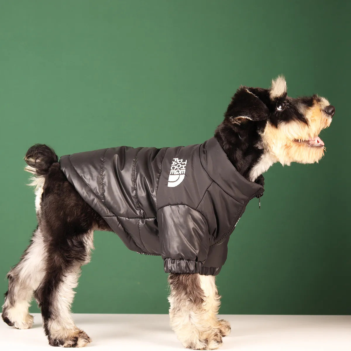 Bully Coat
