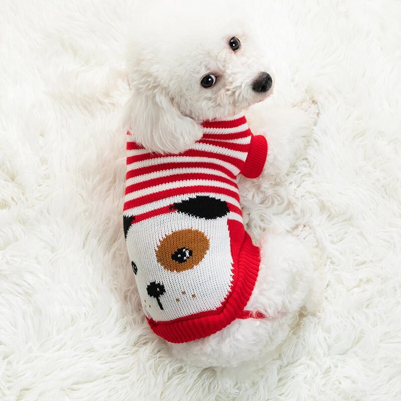 Paws and Claus Sweater
