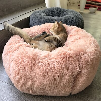 Rounded bed