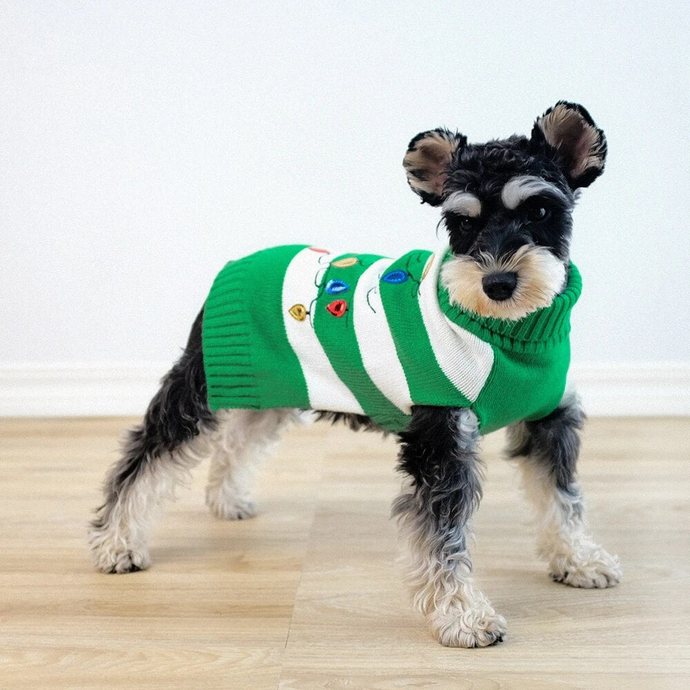Green sweater
