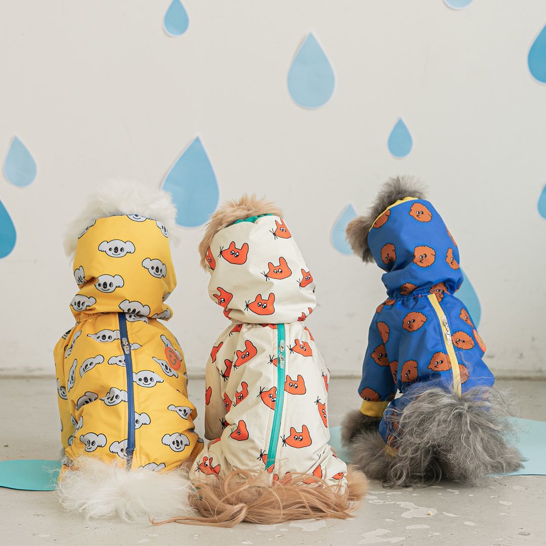 Raincoat