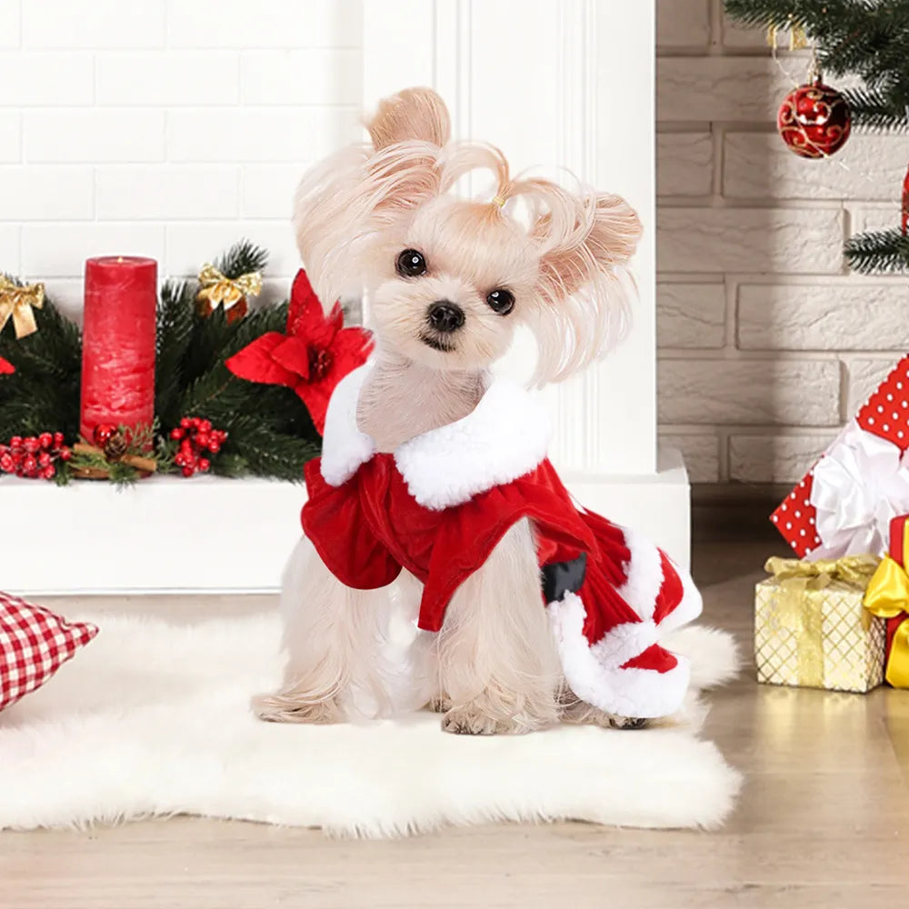 Christmas dress