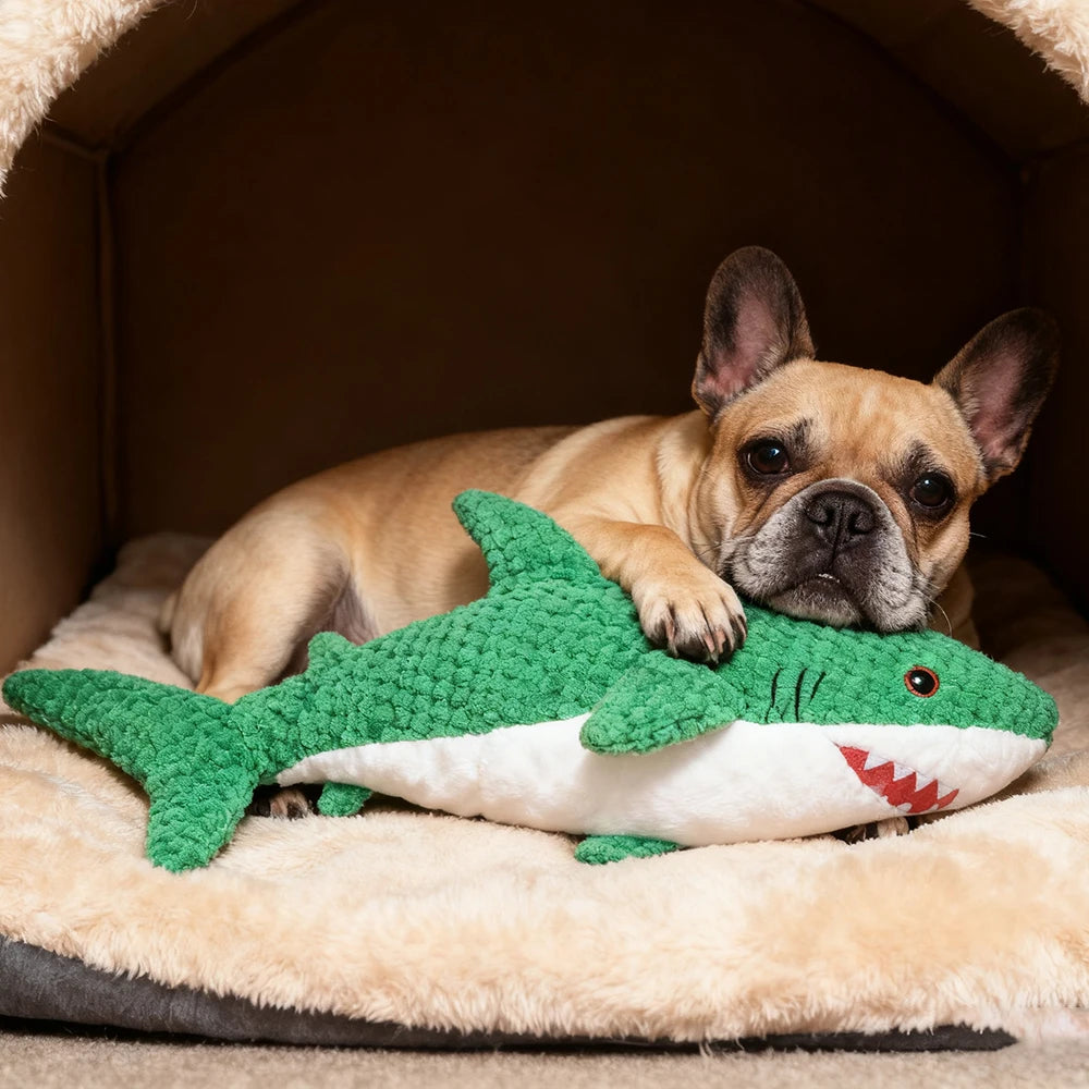 Green Shark