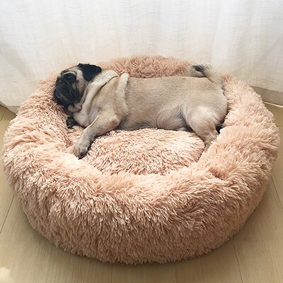 Rounded bed