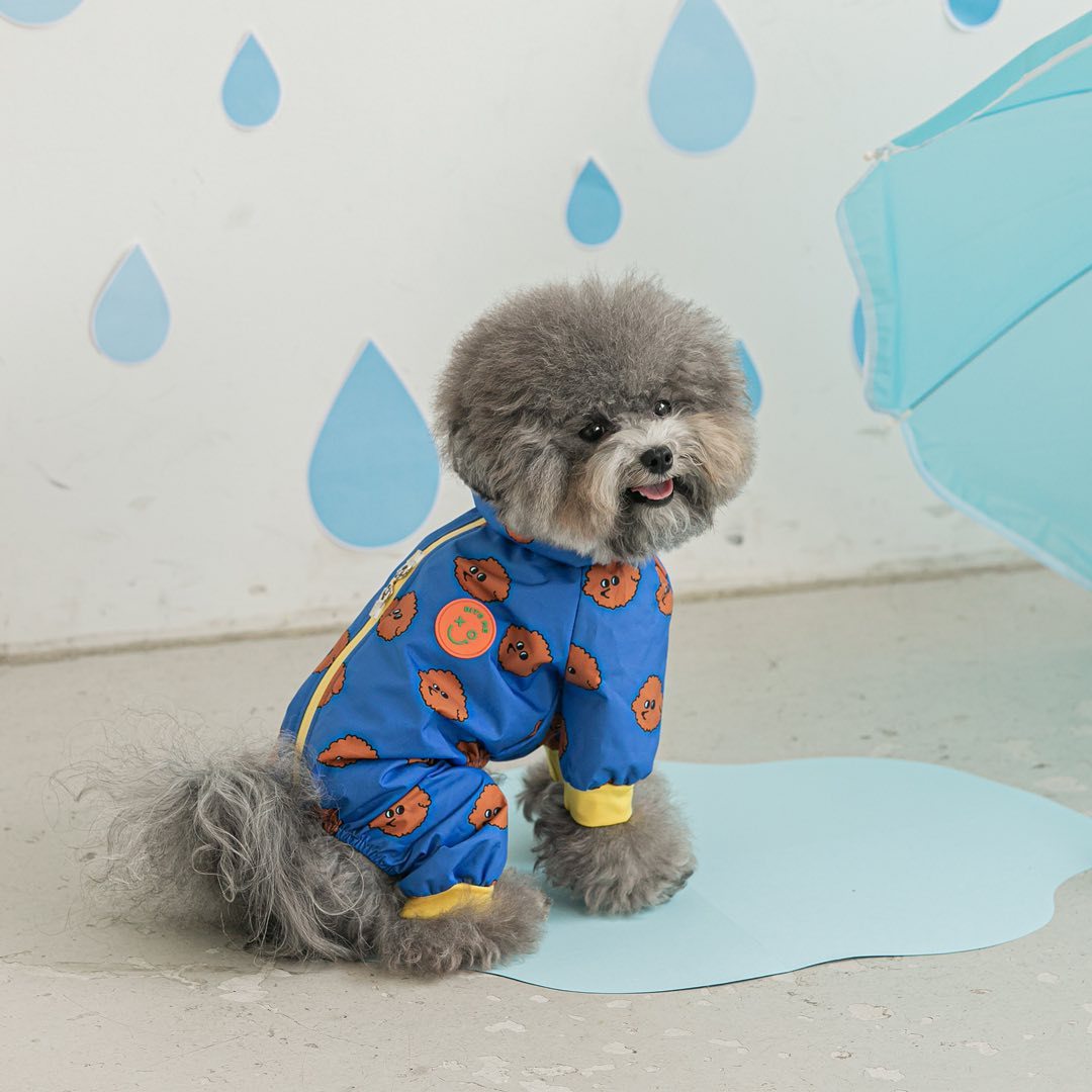 Raincoat