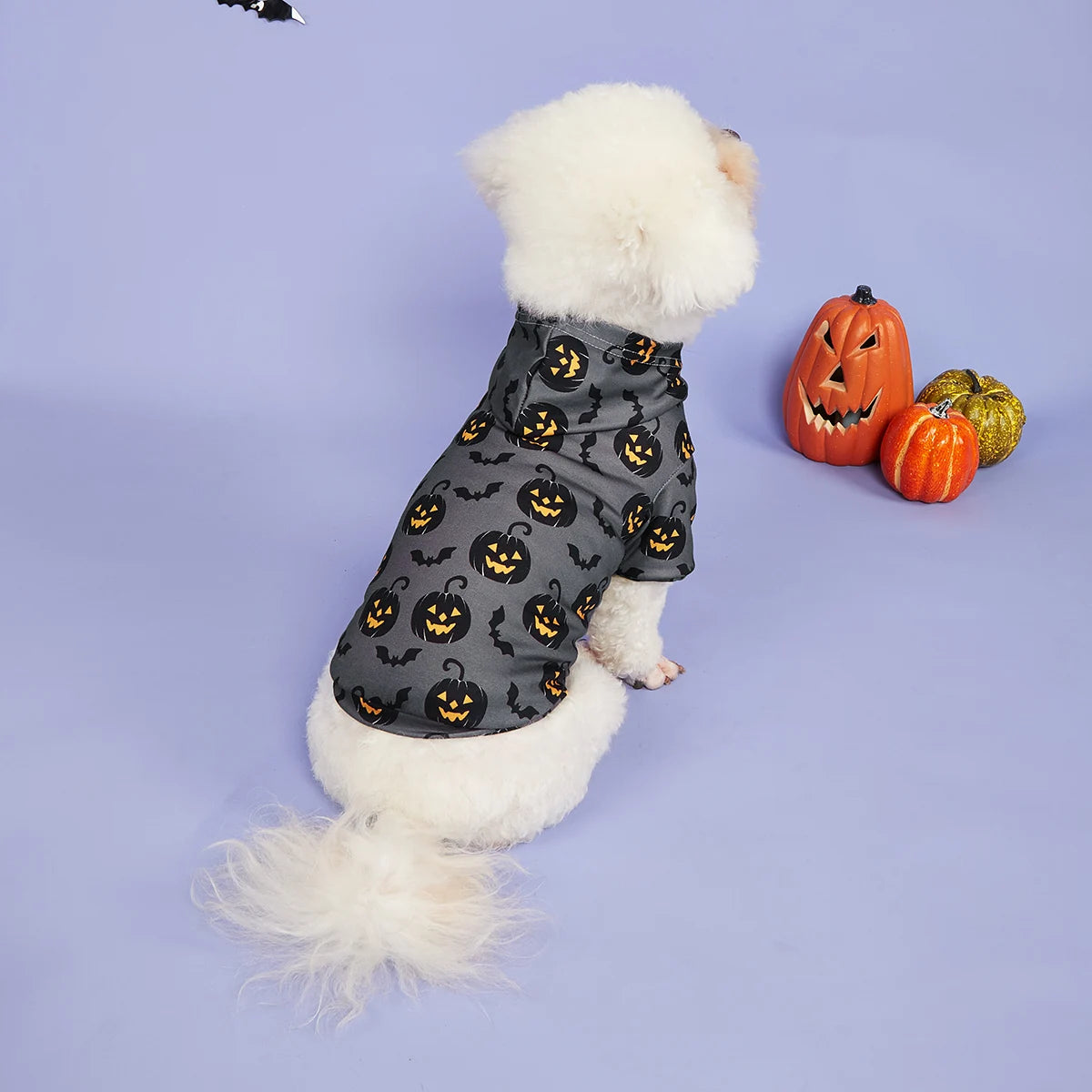 Hoodie Halloween